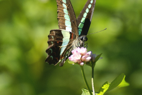 a0016829_2227593.jpg