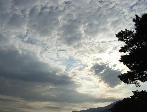 f0118332_2132570.jpg