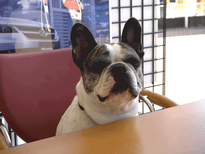 e0008833_19593479.gif