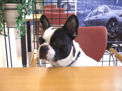 e0008833_2014342.gif