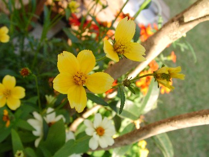f0002833_22473297.jpg