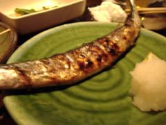 a0005436_1935325.jpg