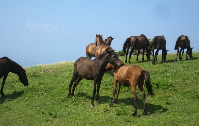 f0042737_1832437.jpg