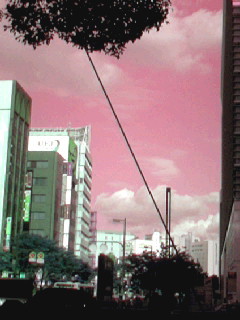 c0077841_17365557.jpg