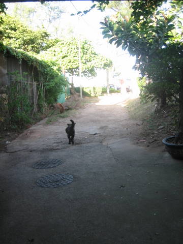 e0018143_6441117.jpg