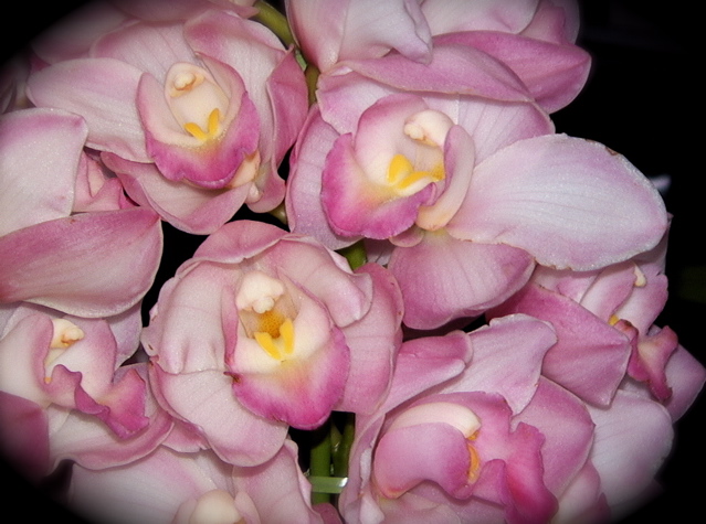 a0099646_21295243.jpg