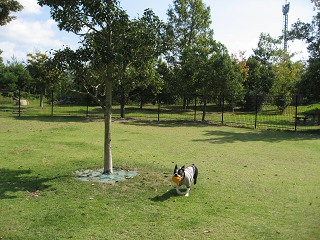 e0126046_2051044.jpg