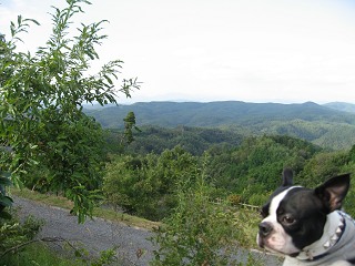 e0126046_21112024.jpg