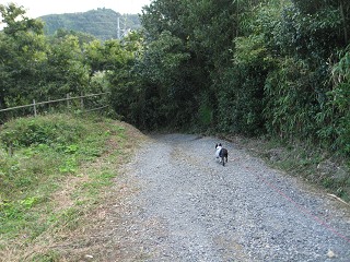 e0126046_2128271.jpg