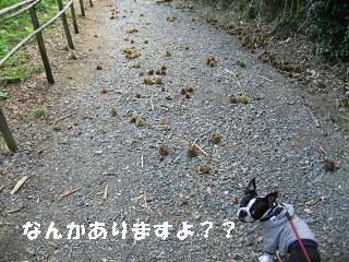 e0126046_21304081.jpg