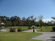 e0126046_219973.jpg