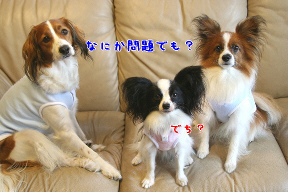 d0013149_0522010.jpg