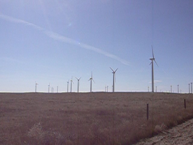 b0091855_1156144.jpg
