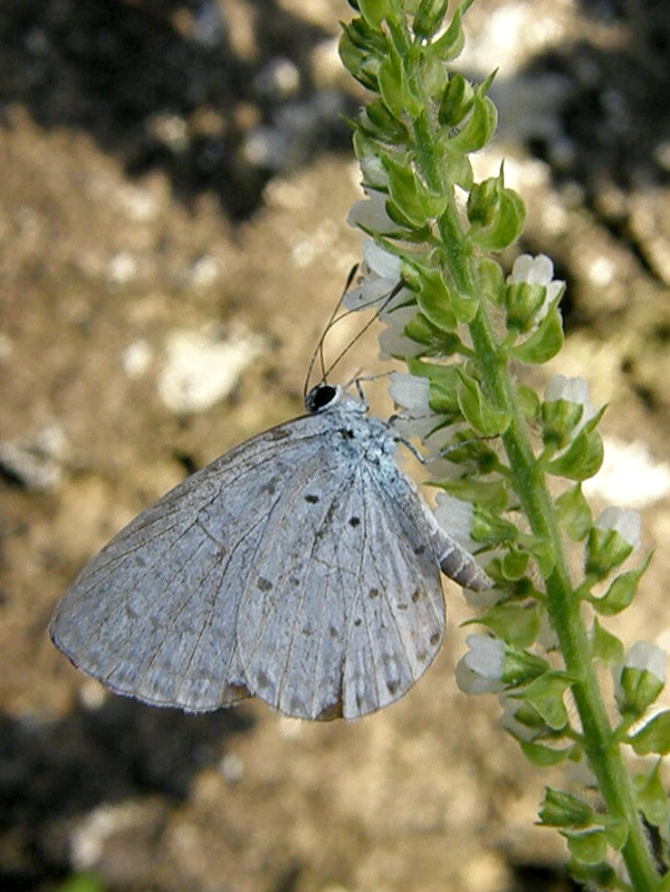 e0064158_23575833.jpg