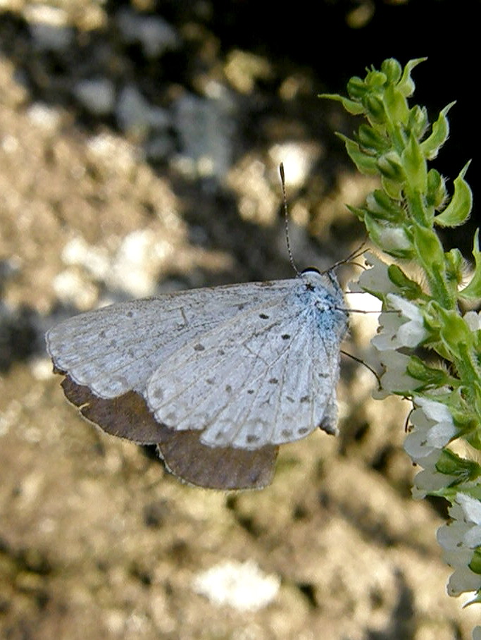 e0064158_23591769.jpg