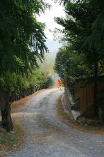 f0077159_2294611.jpg