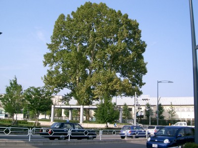 c0112172_220074.jpg