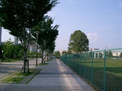 c0112172_220945.jpg