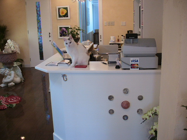 f0150073_22504918.jpg