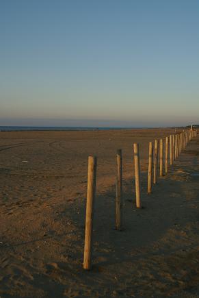 d0108874_0535458.jpg