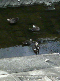 e0014578_21592992.jpg
