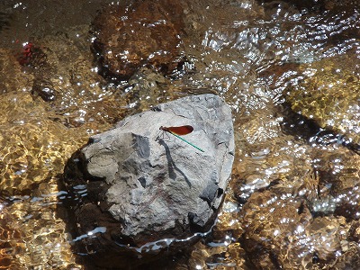 c0105785_943364.jpg