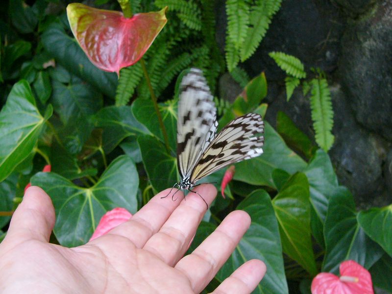 b0108186_22294647.jpg