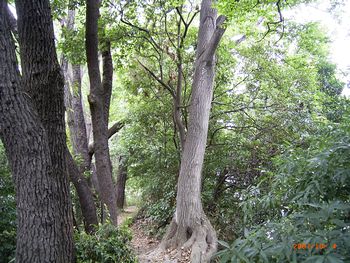 c0124497_057297.jpg
