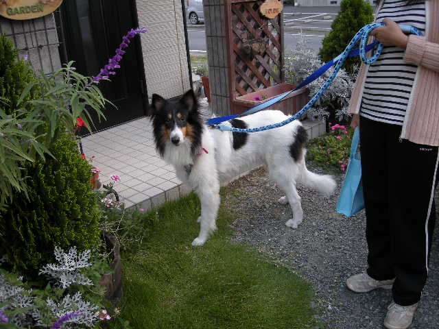 f0081100_18412566.jpg