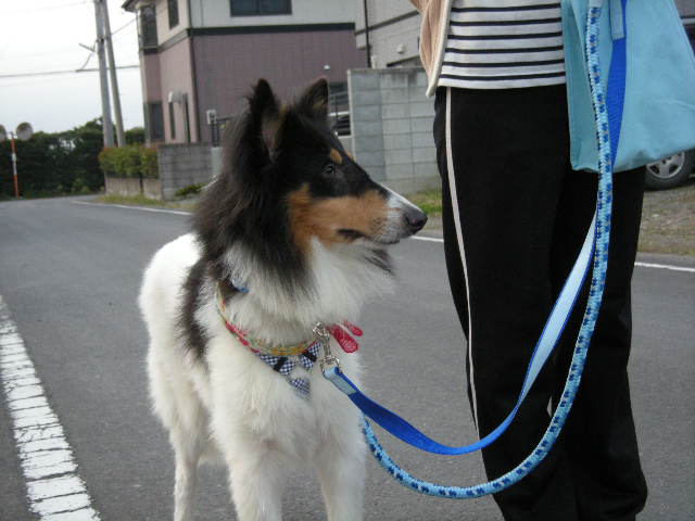 f0081100_18454791.jpg