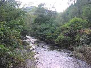 b0021101_20105343.jpg