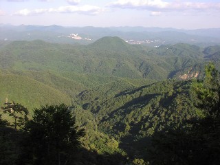 b0021101_2016675.jpg