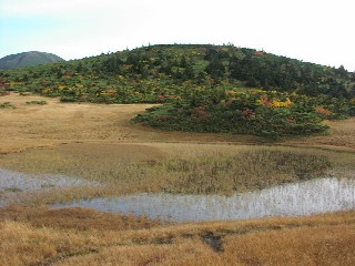 b0021101_213181.jpg