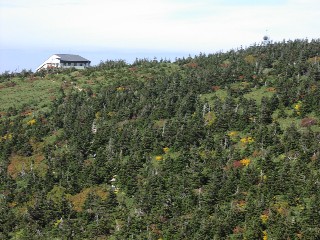 b0021101_21384343.jpg
