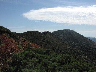 b0021101_21432569.jpg