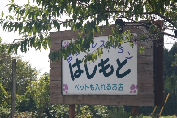 f0034602_21384690.jpg