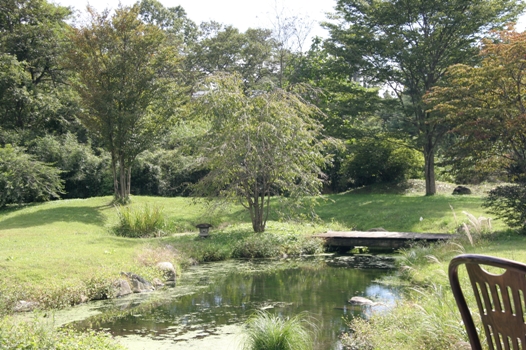 f0034602_21412048.jpg