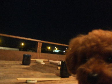 a0007906_14563735.jpg