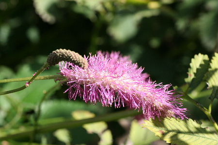 f0041606_20233196.jpg