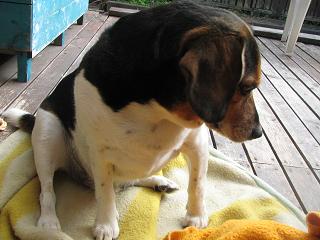 d0104209_052015.jpg