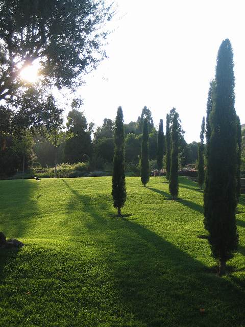 b0064411_2324987.jpg