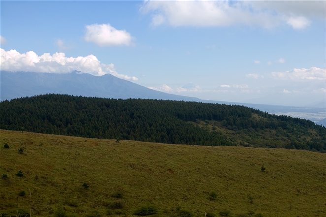 f0040525_20162496.jpg