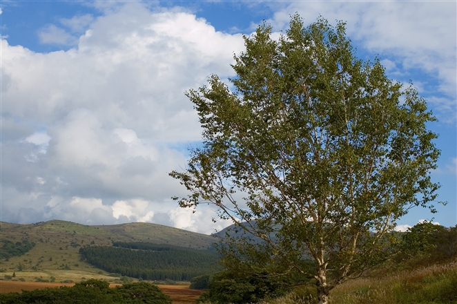 f0040525_2017459.jpg