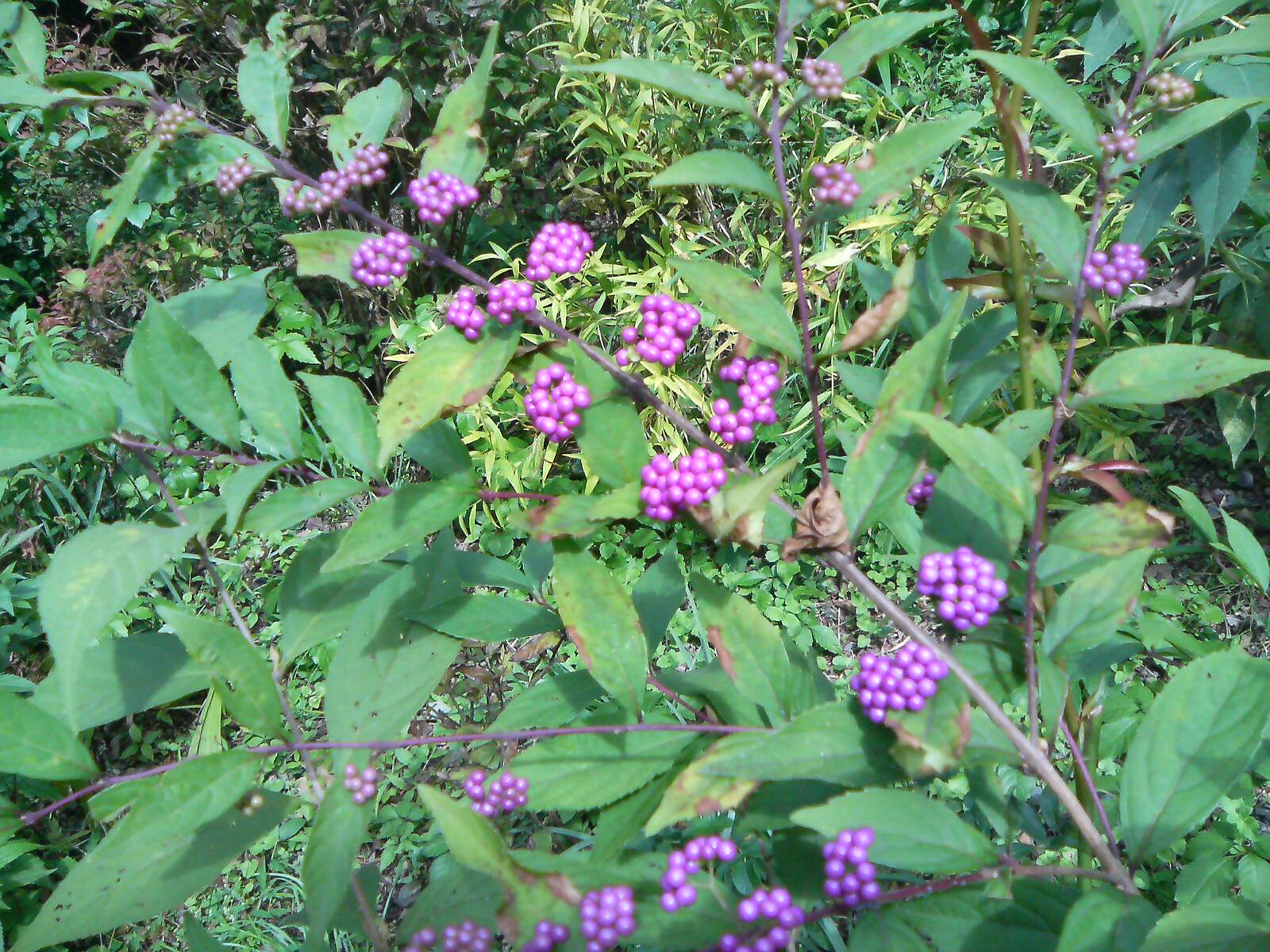 f0131934_18141382.jpg