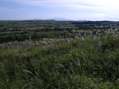 a0097735_1271743.jpg
