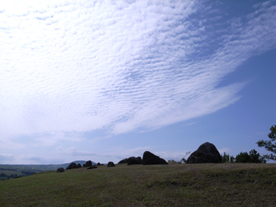 a0097735_161553.jpg