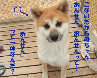 f0008935_14255113.gif