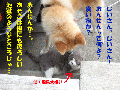 f0008935_14262816.gif