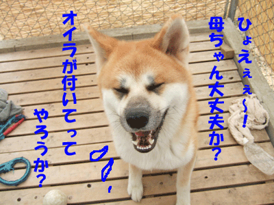 f0008935_14264745.gif