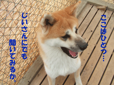 f0008935_1426624.gif